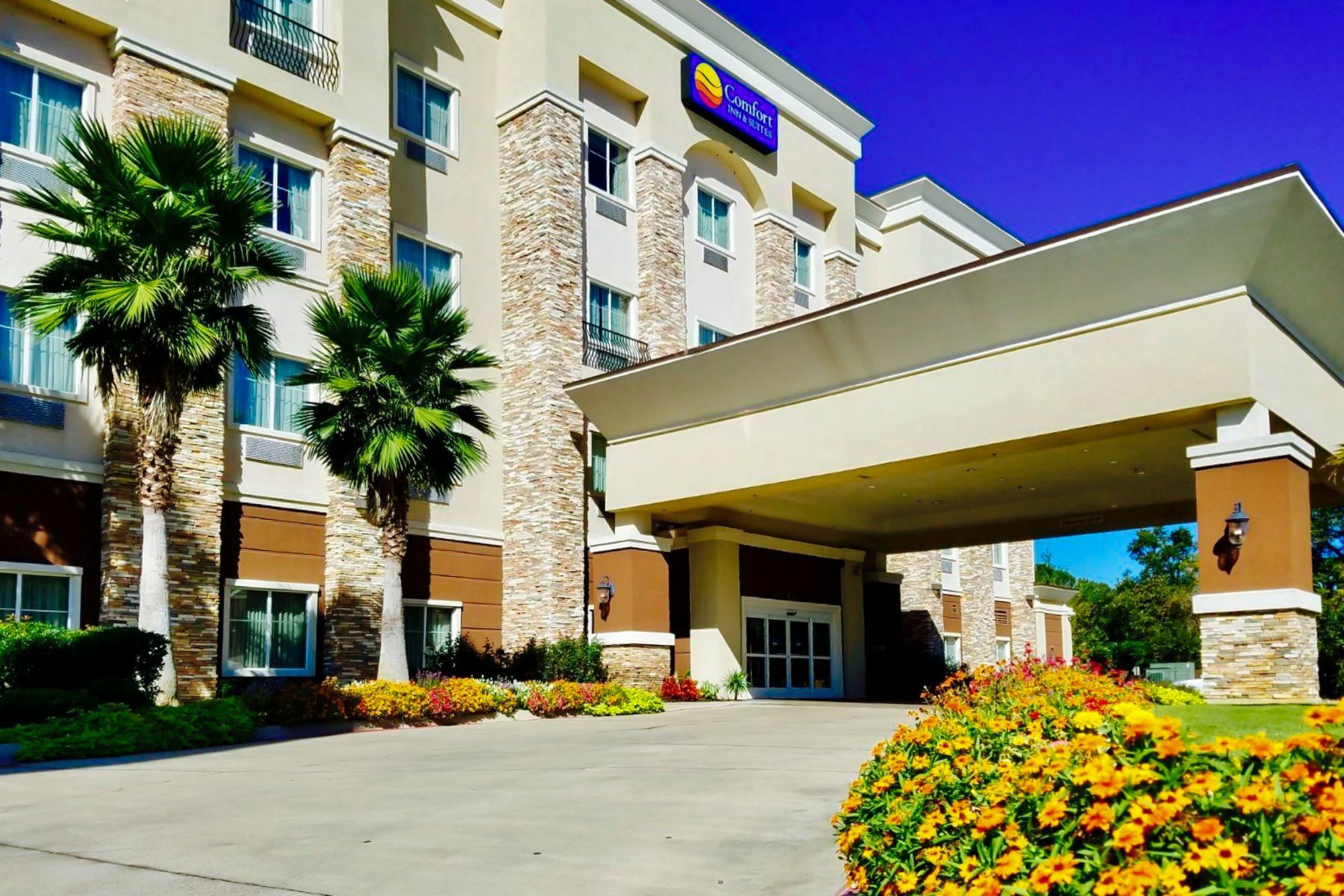 Comfort Inn & Suites Longview Exterior photo